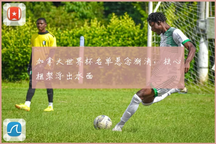 加拿大世界杯名单悬念渐消，核心框架浮出水面