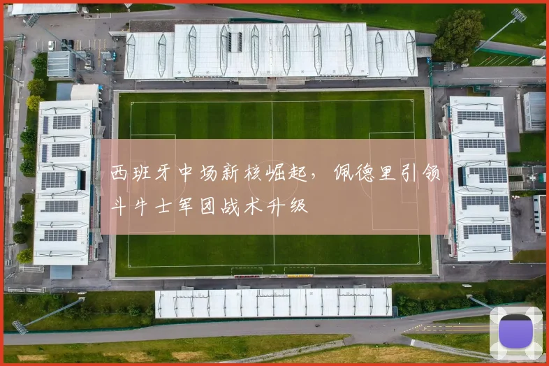 西班牙中场新核崛起，佩德里引领斗牛士军团战术升级