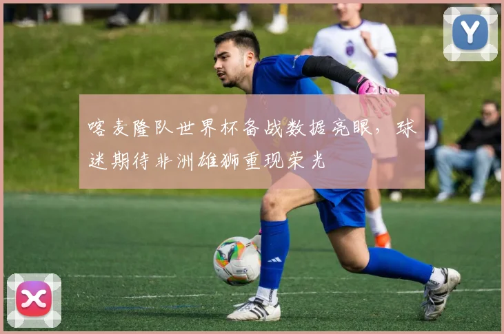 喀麦隆队世界杯备战数据亮眼，球迷期待非洲雄狮重现荣光