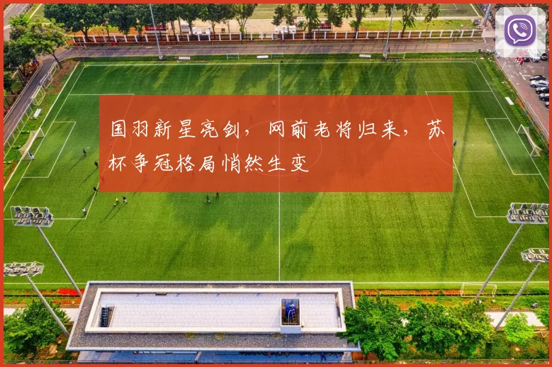 国羽新星亮剑，网前老将归来，苏杯争冠格局悄然生变