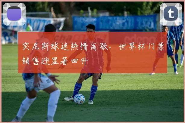 突尼斯球迷热情高涨，世界杯门票销售迎显著回升