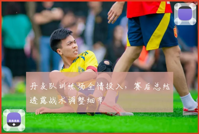 丹麦队训练场全情投入,赛后总结透露战术调整细节