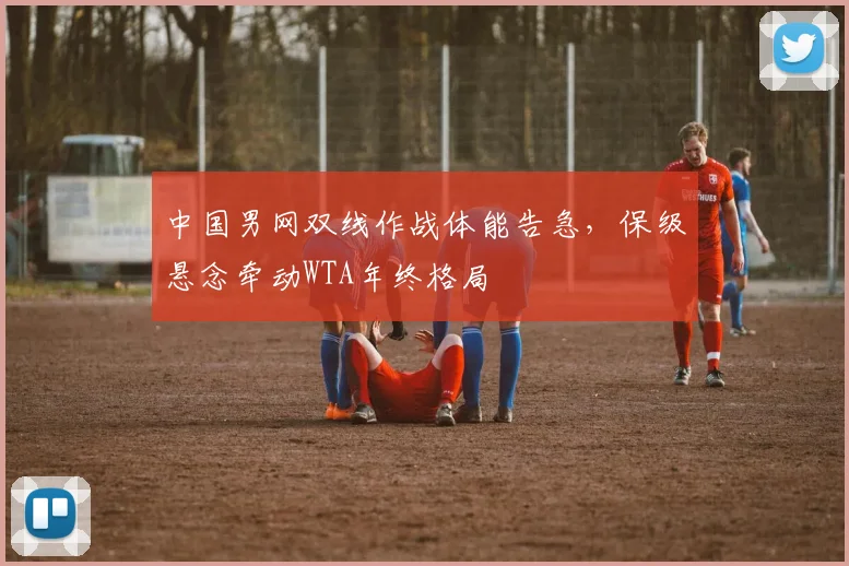中国男网双线作战体能告急，保级悬念牵动WTA年终格局